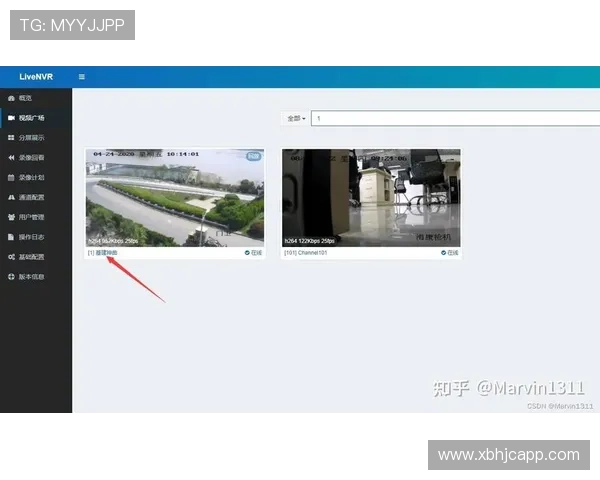 电视直播视频源的获取途径与使用方法详解